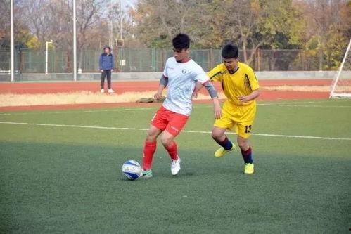 江苏足球最新爆料,揭秘球队内幕与未来动向